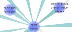 virus visualiser image