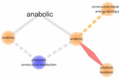 word visualiser